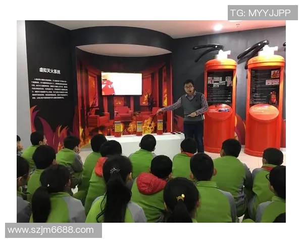 与羽毛球女将杨静的深度对话回顾她的职业生涯与未来展望